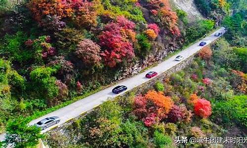 翠华山路线攻略一日游_翠华山路线攻略一日游