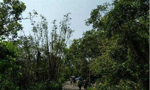 石花山公园有哪些景点_石花山公园有哪些景点好玩